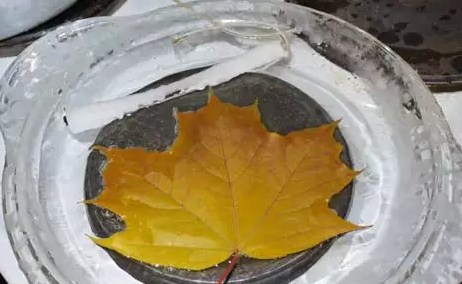 Замачивание в парафине