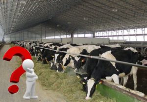 способы кормления