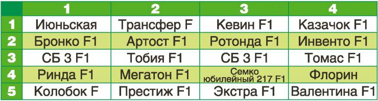 сорта и гибриды белокочанной капусты для сибири