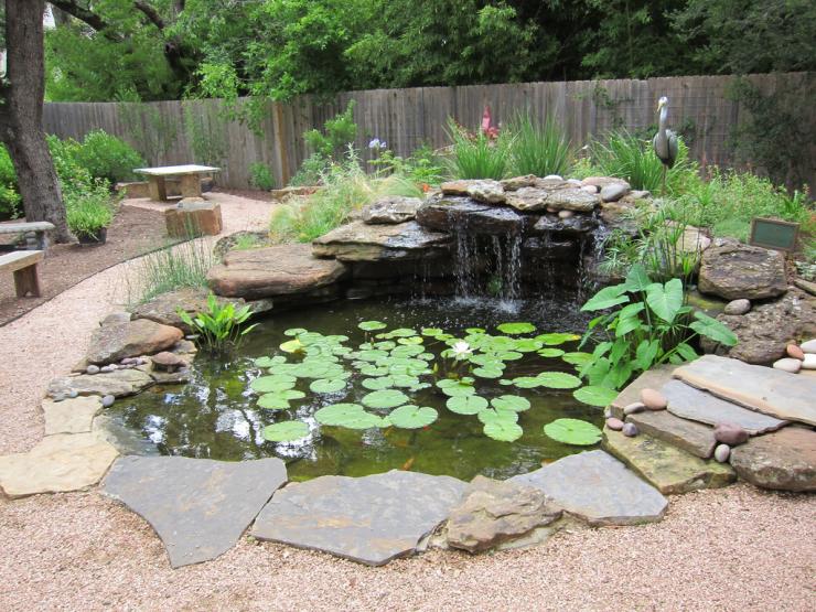 how-to-build-a-pond.jpg