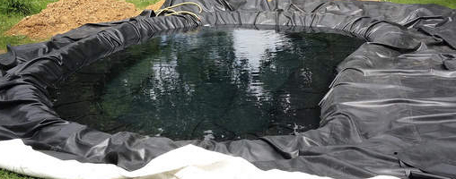 how-to-build-a-pond.jpg