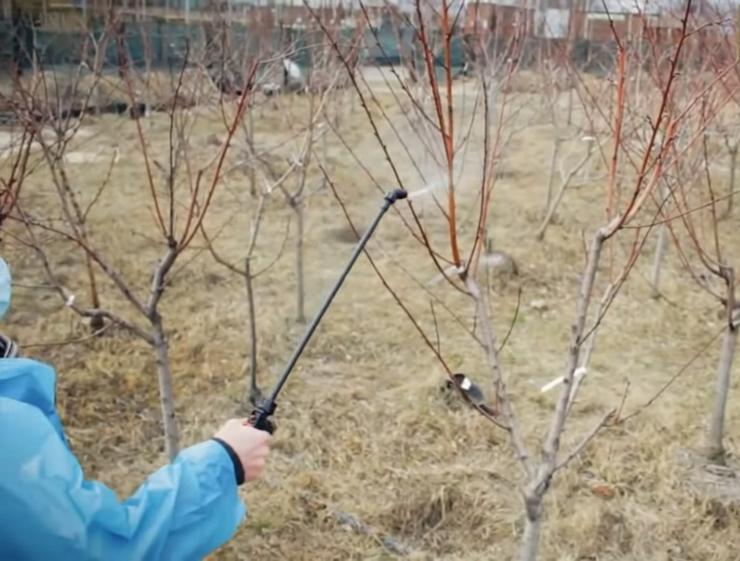 чем опрыскать сад осенью