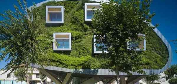 зелёная архитектура 