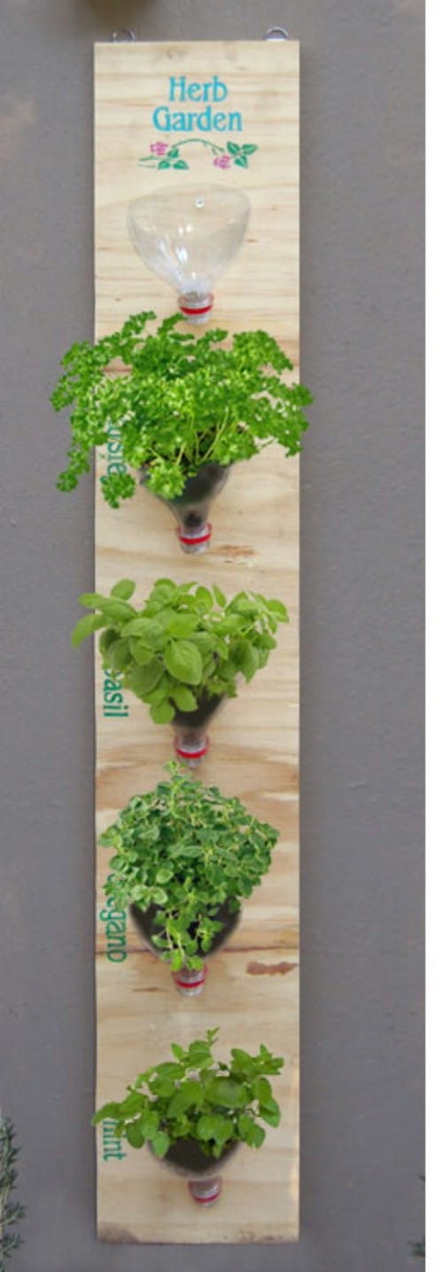Bottle-Top Vertical Garden