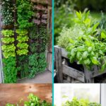 18 DIY Herb Gardens for Indoors and Outdoors Herb garden collage