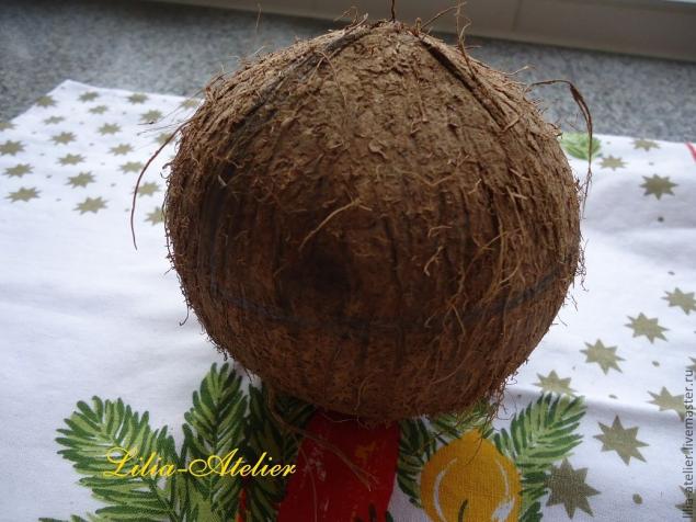 Кокосовые колыбельки что может получиться из одного кокоса?, фото № 2