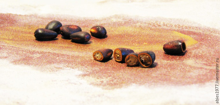 Этнобусины из кедровых орешков, фото № 2 Этнобусины из кедровых орешков, фото № 2