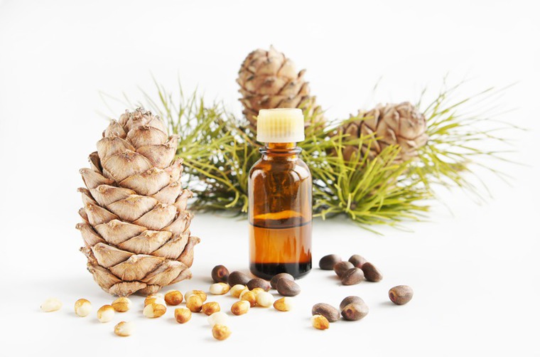 Кедровая шишка: полезные советы по очистке и использованию, фото № 9 Кедровая шишка: полезные советы по очистке и использованию, фото № 9