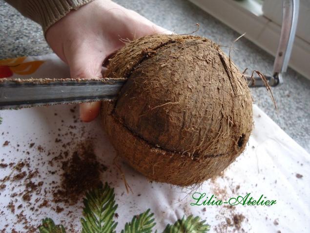 Кокосовые колыбельки что может получиться из одного кокоса?, фото № 8