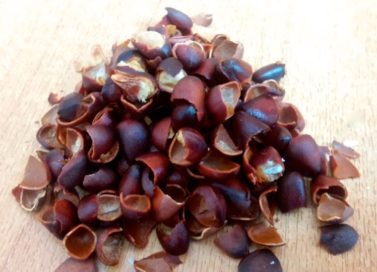 Кедровая шишка: полезные советы по очистке и использованию, фото № 7 Кедровая шишка: полезные советы по очистке и использованию, фото № 7