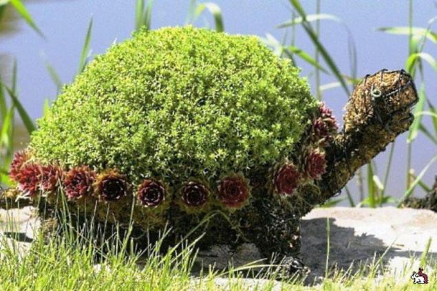 Искусство художественной стрижки кустов, фото № 4