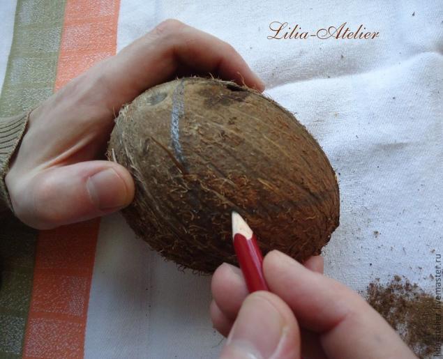 Кокосовые колыбельки что может получиться из одного кокоса?, фото № 3