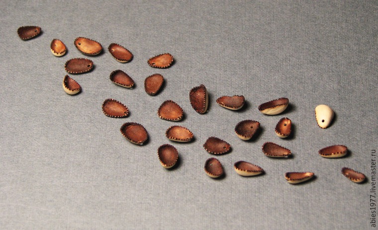 Этнобусины из кедровых орешков, фото № 5 Этнобусины из кедровых орешков, фото № 5