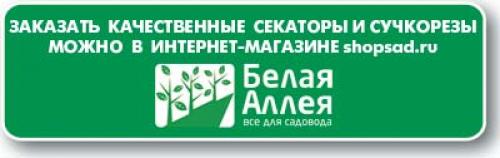 Отличие ремонтантной малины от обычной. Различия ремонтантной и обычной малины 01