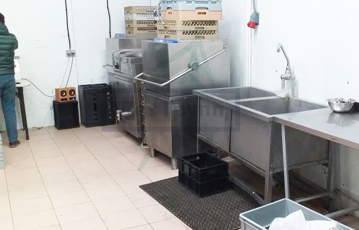 методы избавления от крыс