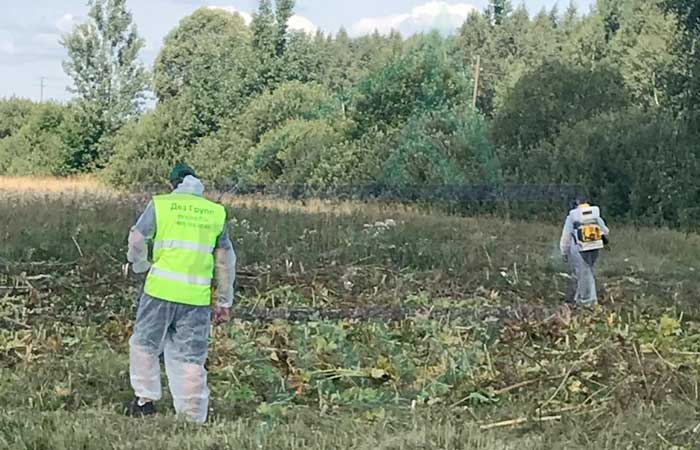 Обработка от клещей на дачном участке по доступной цене