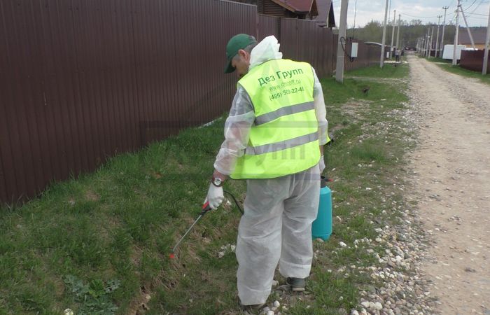 Обработка от клещей на участке - служба СЭС Дез Групп