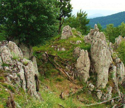 Идея для альпинария чешская скалка - горы Чехии Идея для альпинария чешская скалка - горы Чехии