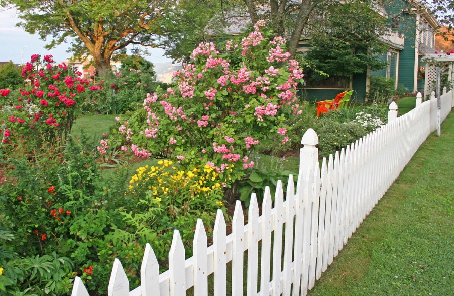 Оформление цветника в палисаднике с белым забором
