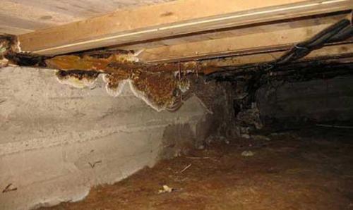 Гидроизоляция подполья в деревянном доме. Гидроизоляция пространства под полом в деревянном доме