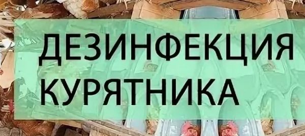 Что делать при выявлении гистомоноза