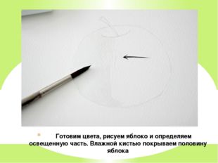 Готовим цвета, рисуем яблоко и определяем освещенную часть. Влажной кистью п