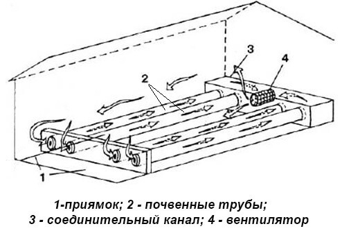 Теплый пол в теплице: системы обогрева грунта 