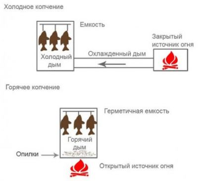 Схема холодного и горячего копчения