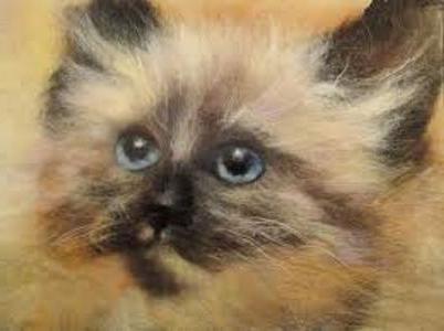 картины из шерсти для начинающих