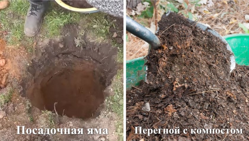 Подготовка места к пересадке