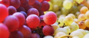 Сушёный виноград: чем полезен, как высушить в домашний условиях, как хранить