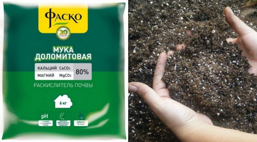Доломитовая мука для раскисления почвы
