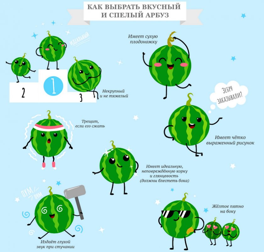 Как выбрать качественный арбуз арбуз