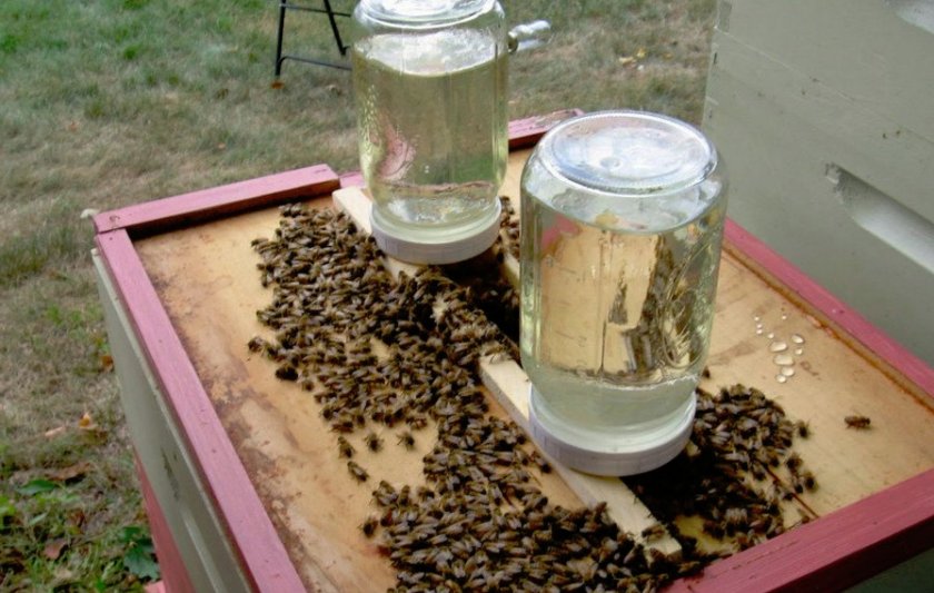 Подкормка пчёл сиропом