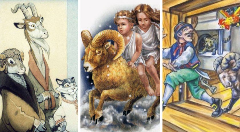 Иллюстрации к детским книгам об овцах