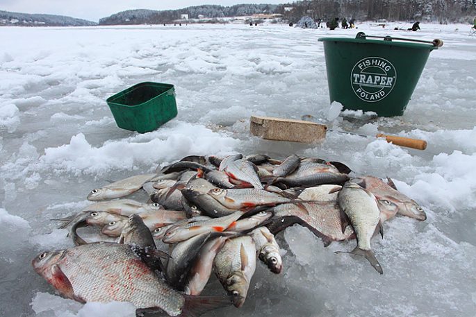 Прикормки для зимней рыбалки