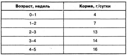 Как проводят откорм перепелов на мясо? Разведение и кормление перепёлок в домашних условиях