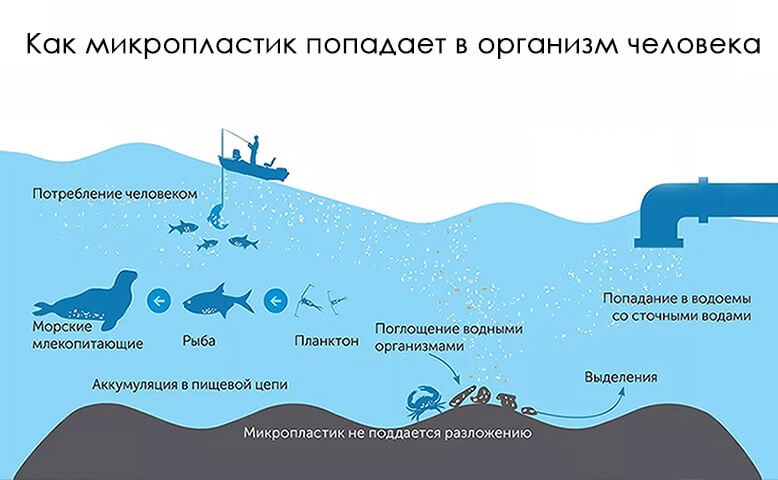 пластиковое загрязнение окружающей среды