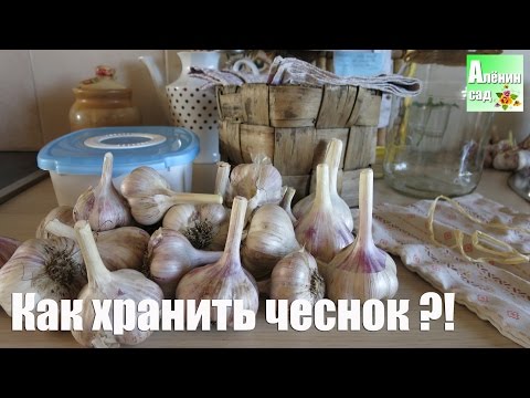 Как сохранить ЧЕСНОК. Все тайны! / All about garlic storage