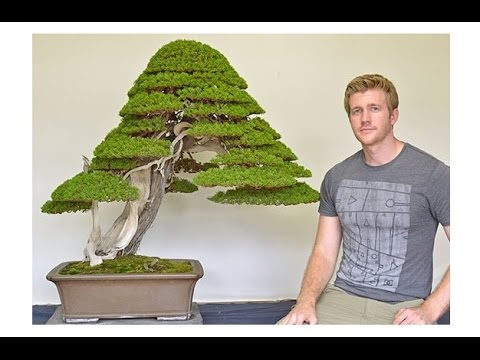 Картинка 4 Картинка 4
