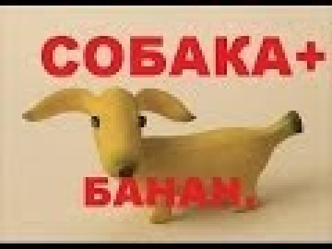 Карвинг СОБАКА из банана УКРАШЕНИЕ для ПРАЗДНИЧНОГО СТОЛА