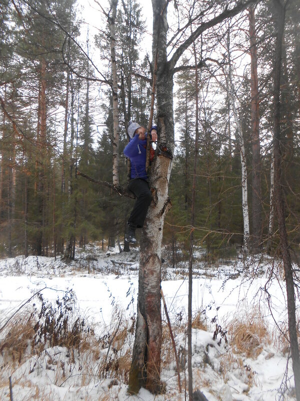 DSCN8578.JPG