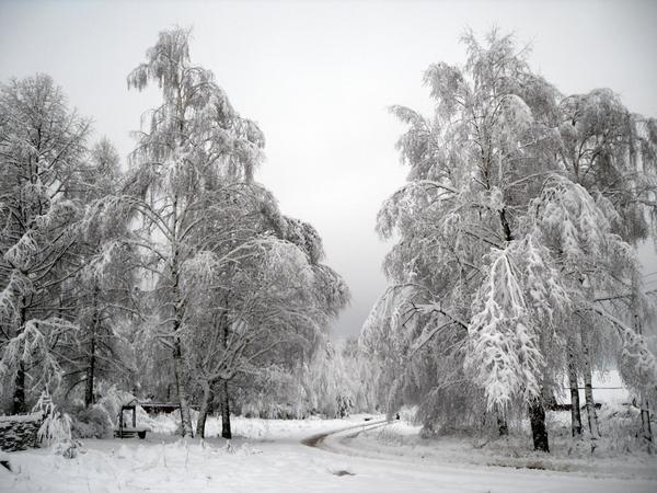 А у нас снег белый и пушистый