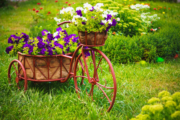 Один из способов украсить сад - необычный цветник
