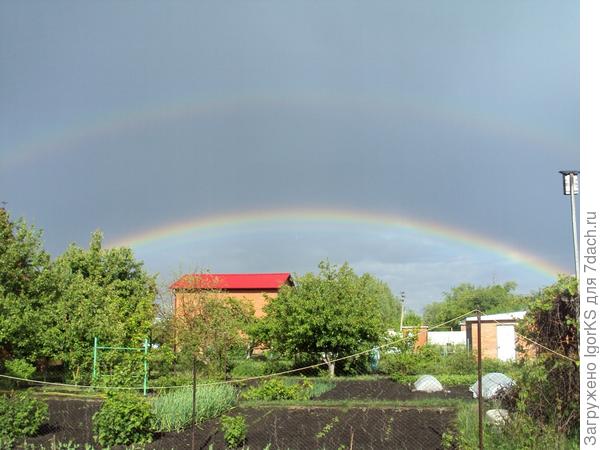 Хотите радужного неба над головой? Соблюдайте все правила