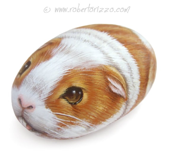 Guinea Pig Hand Painted on Rock 