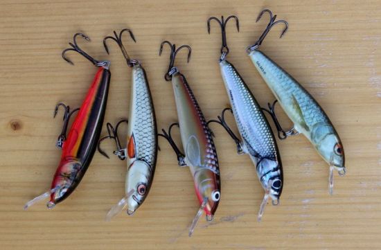 Salmo Minnow