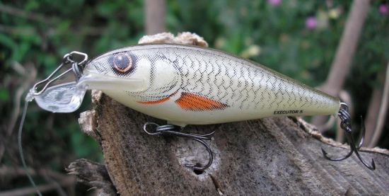 Salmo Executor