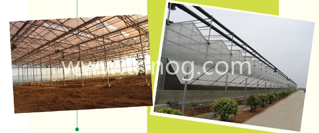 Polycarbonate winter greenhouse for commercial