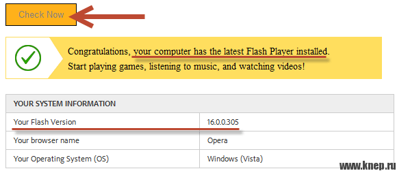 Проверить flash player